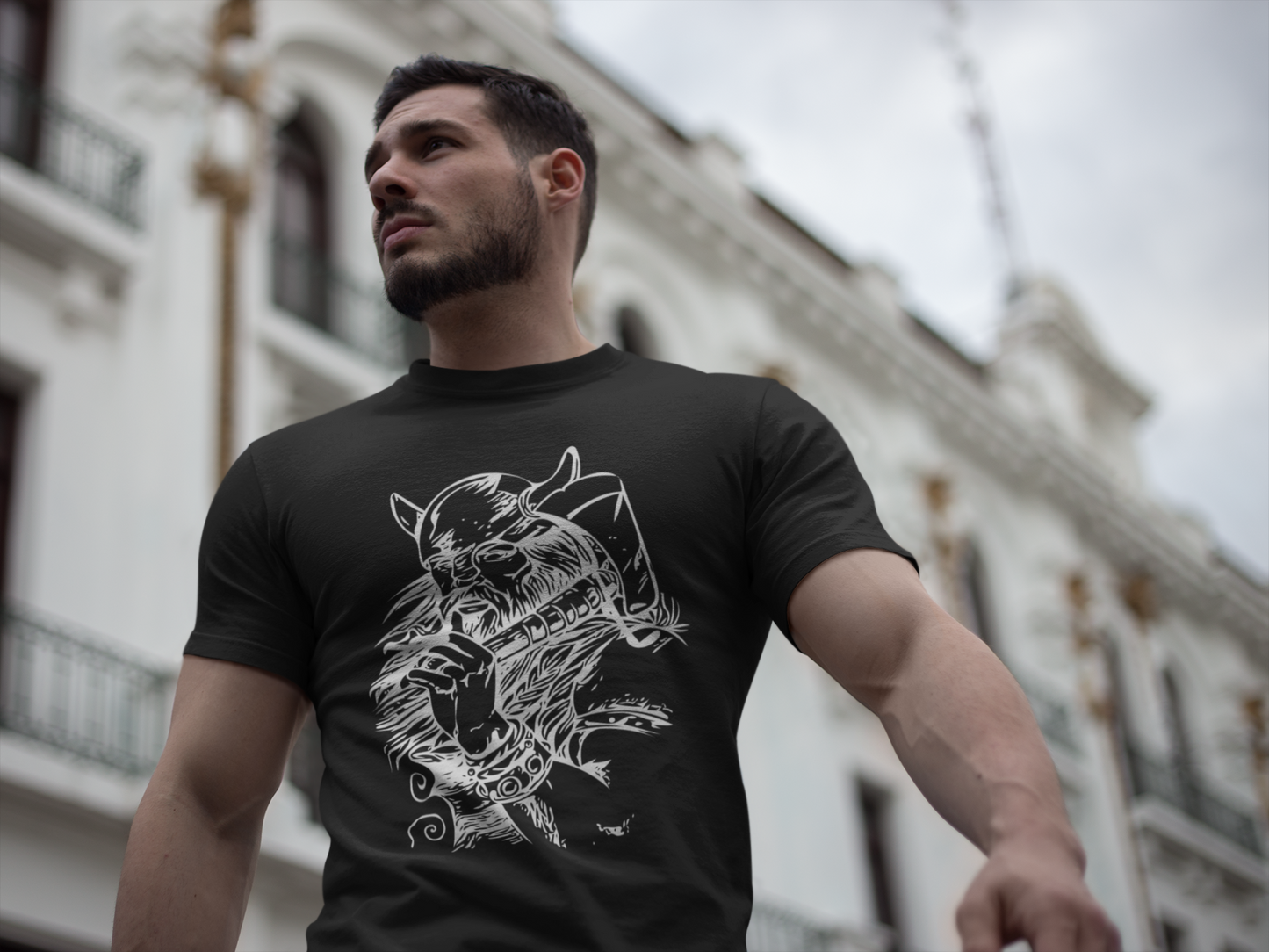 Viking Warrior Unisex Softstyle T-Shirt